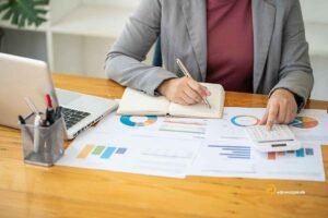 Pedrovazpaulo Business Consultant