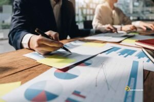 Pedrovazpaulo Strategy Consulting